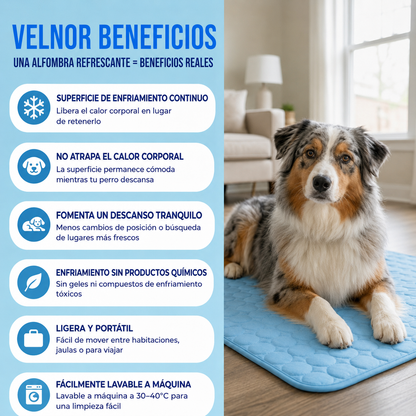 Alfombra Refrescante para Mascotas| Descanso sin Calor