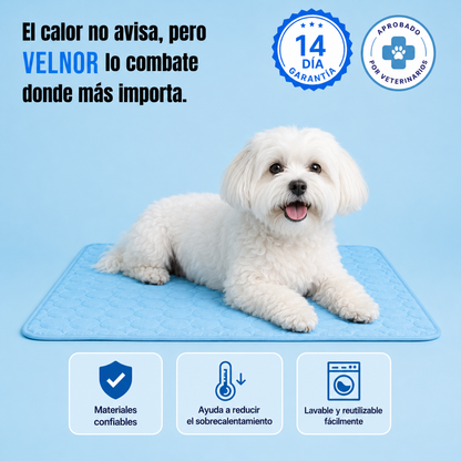 Alfombra Refrescante para Mascotas| Descanso sin Calor